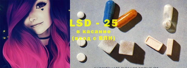 спиды Шали