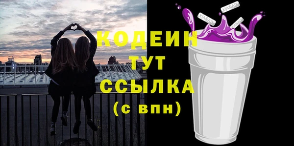 индика Чегем