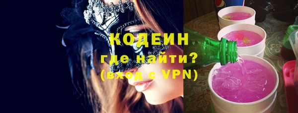 индика Чегем
