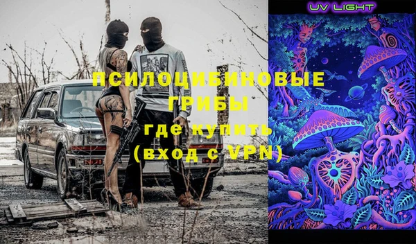 индика Чегем