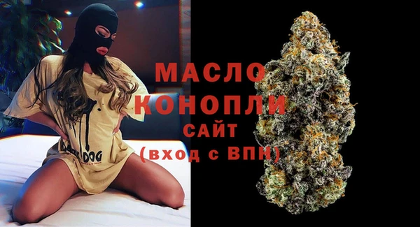 индика Чегем