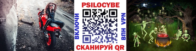 Псилоцибиновые грибы прущие грибы  Купить закладки  Урус-Мартан 